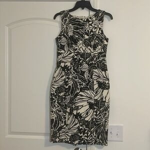 NWOT Jones New York Lined Cream with Black Floral 100% Cotton Dress Size 6 NWOT
